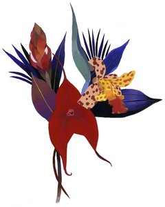 Immagine sconosciuta